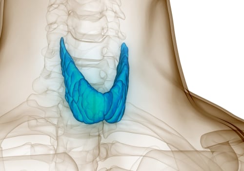 Understanding Thyroid Disorders: A Comprehensive Guide